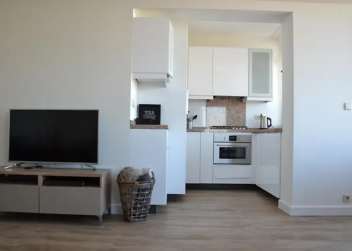 Ikusasa * 赞德沃特