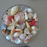 Ikusasa Zandvoort