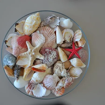 Ikusasa Zandvoort