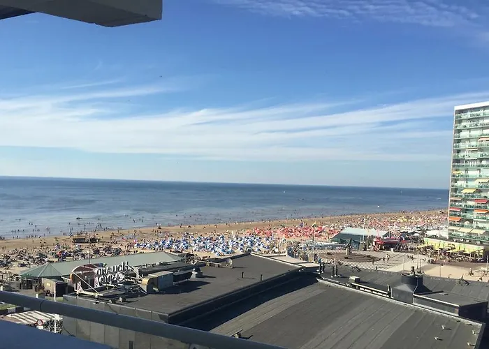 Ikusasa * Zandvoort