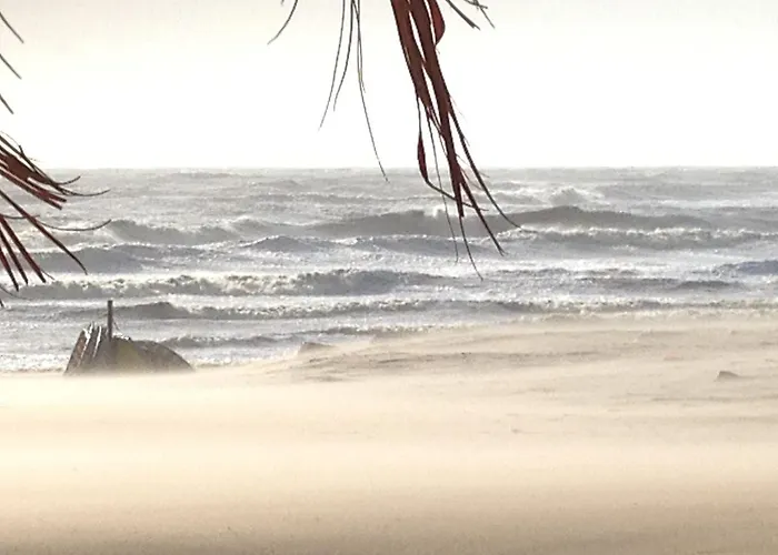 Ikusasa 아파트 잔드보르트